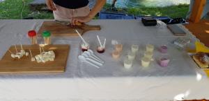 Štanti, Kmetija Sp. Strmčnik 02